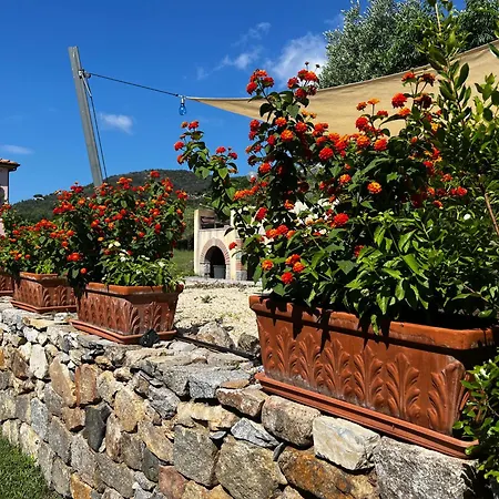 Aiali Marina di Campo