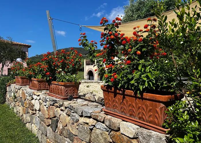 Aiali Marina di Campo