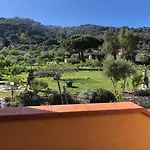 Aiali
